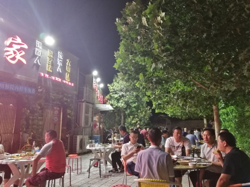 河南周口淮阳美食探店推荐,郑州林科路美食