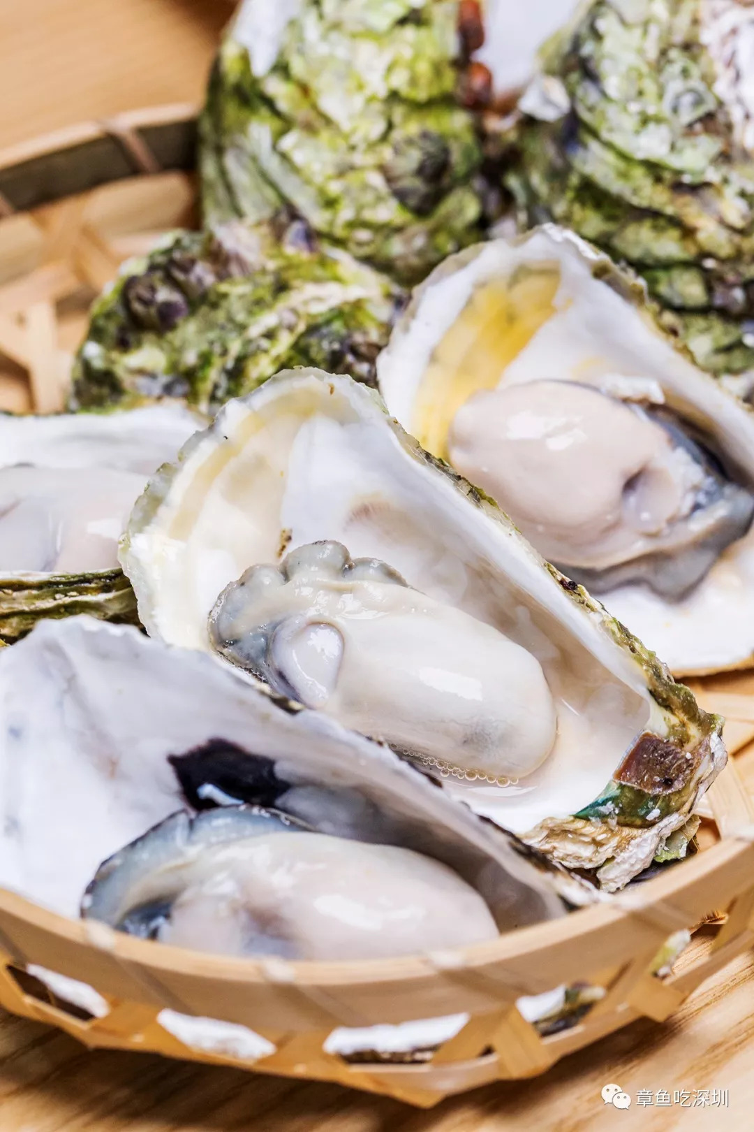 深圳竹篮蒸生蚝,深圳新安秦师傅竹篮蒸生蚝