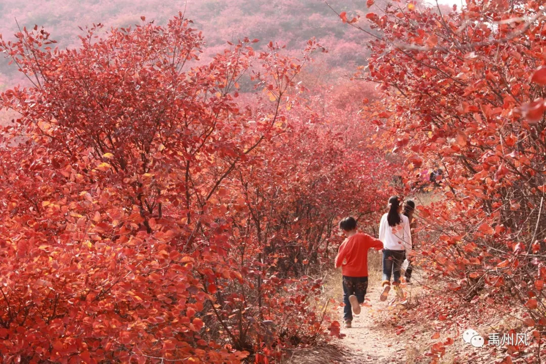 禹州磨街几个村,禹州市磨街乡磨街村
