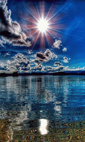 会动的图片大全大图,会动的花动态图片