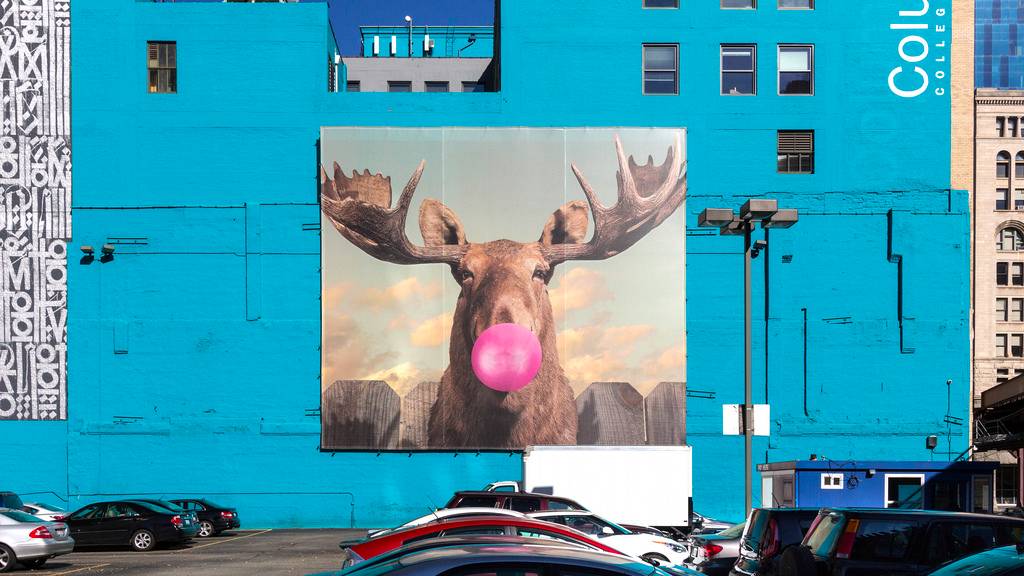 适合情侣拍照的网红打卡点,适合情侣拍照的网红打卡地点