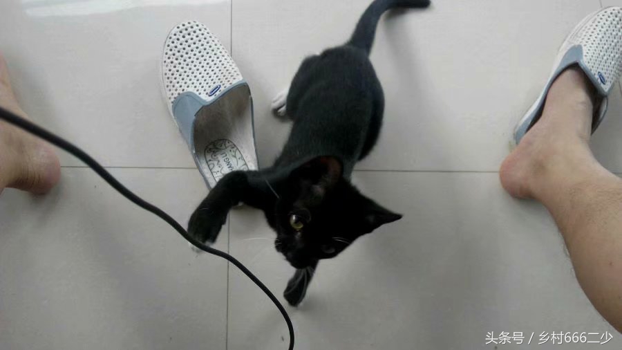 平凡之路赏析,平凡之路赏析及感悟