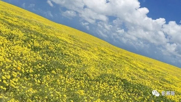 我们为什么要摄影,为什么说没有构图很可怕
