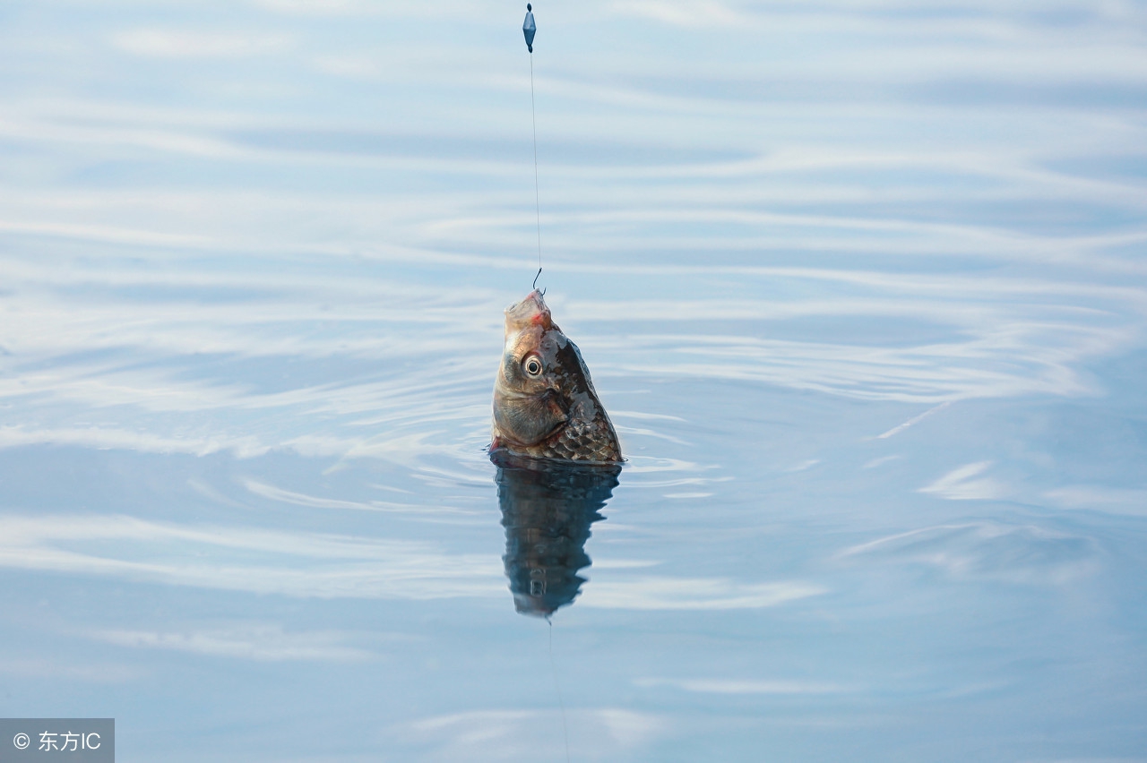 古往今来赞美教师的诗句有哪些,对老教师的赞美评价诗句