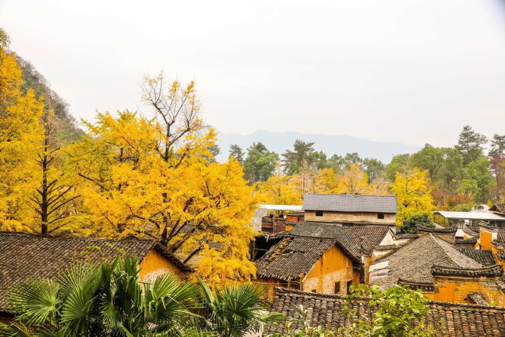 我存了256G的小黄片想和你深夜一起看