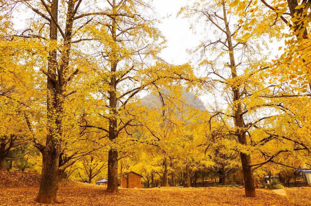 我存了256G的小黄片想和你深夜一起看