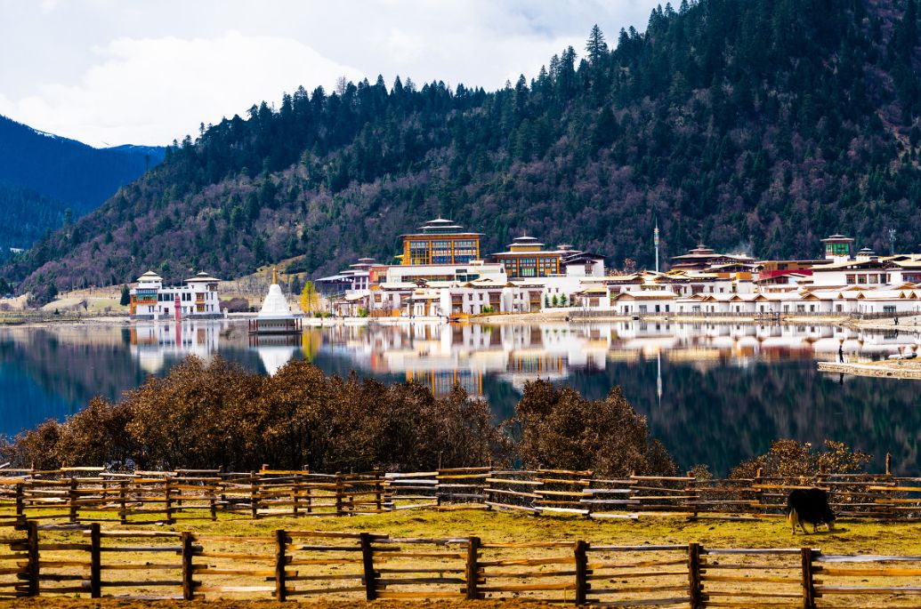 我存了256G的小黄片想和你深夜一起看