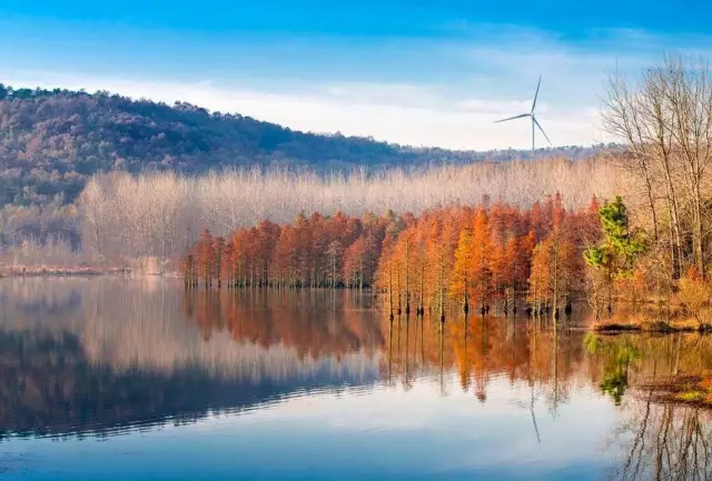 我存了256G的小黄片想和你深夜一起看