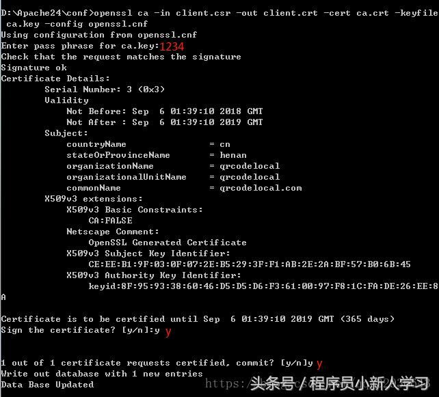 phpstudy鏂扮増鏈崌绾penssl,瀹夎phpopenssl