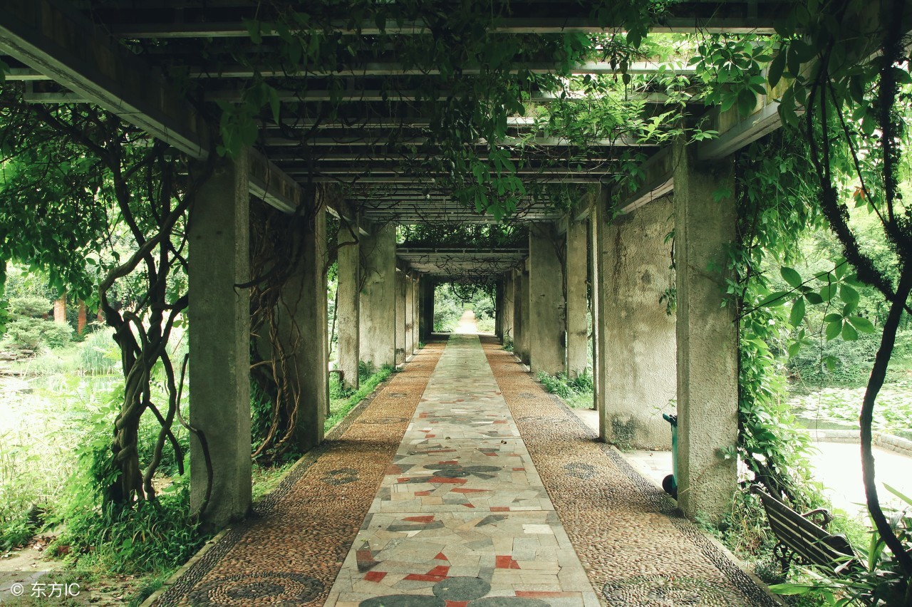 屋后有水家败人亡子不归对吗,屋后有塘家败人亡