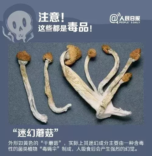 禁毒知识毒品对青少年危害是什么,禁毒小知识药物的危害
