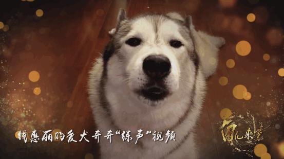 角儿来了钱惠丽视频,角儿来了采访钱惠丽