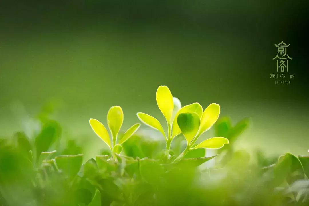 曾经有两次胎停能保胎吗,曾经宫外孕再次怀孕