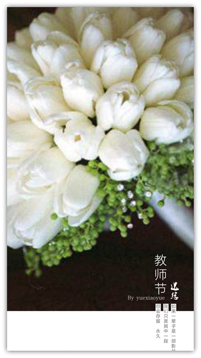 怎样制作节日图片软件,手机怎么做图片加文字表格