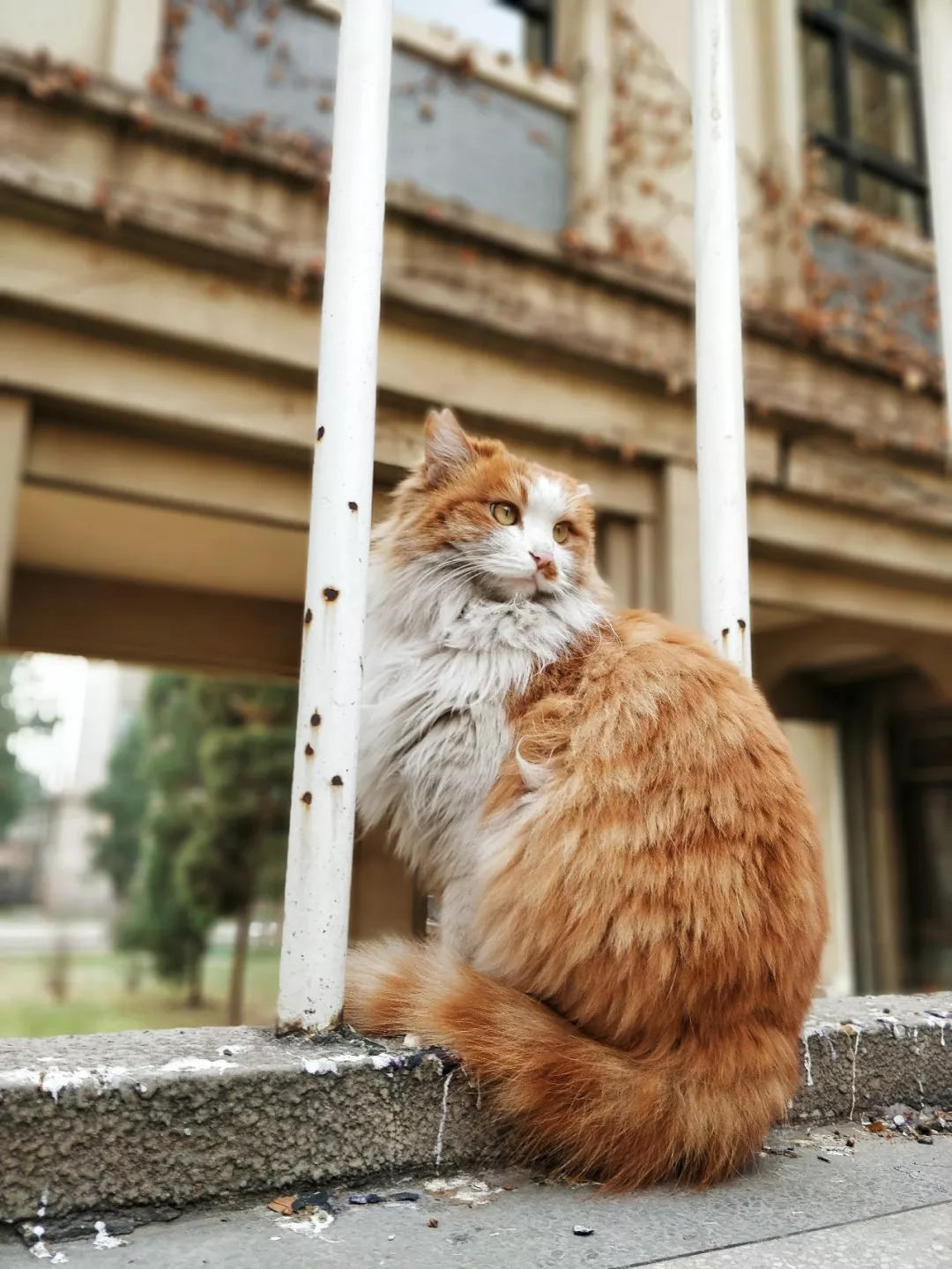 北航和农大,北航的八大学院