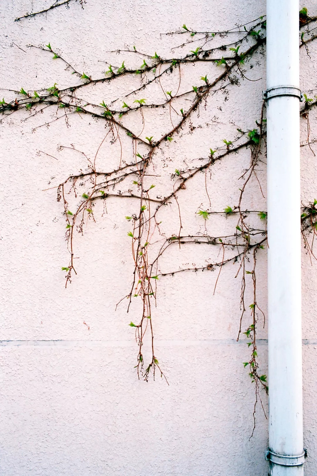 北航和农大,北航的八大学院