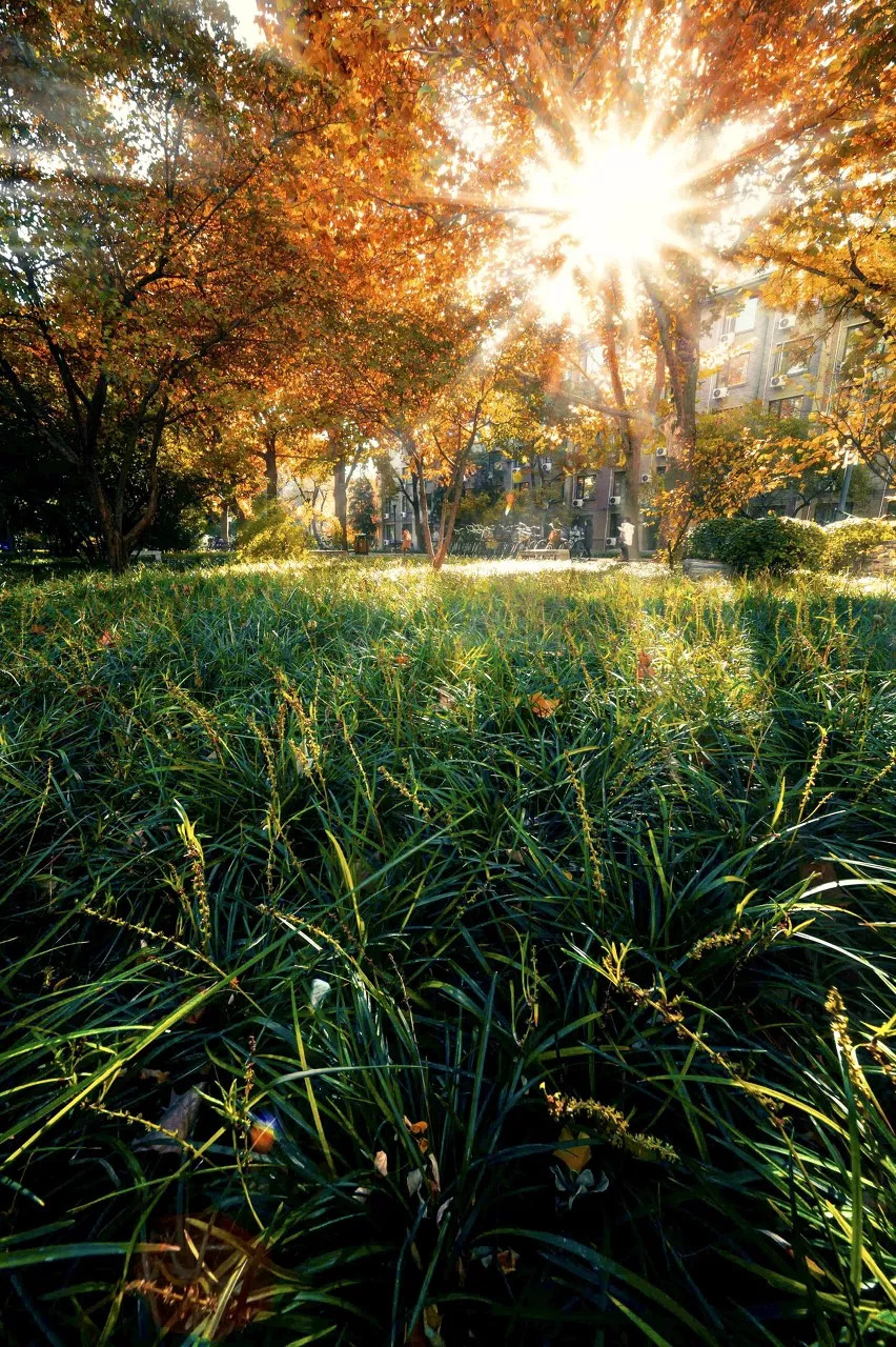 北航和农大,北航的八大学院