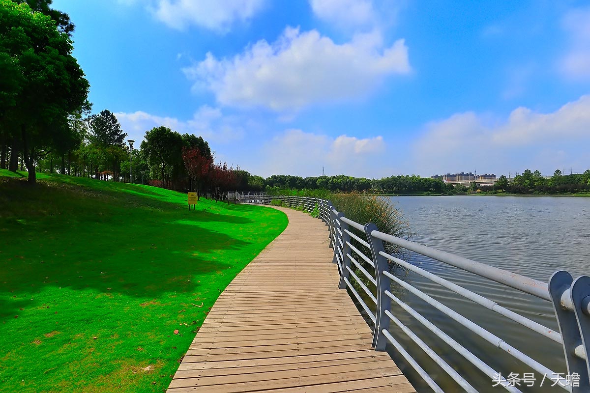 上海美兰湖,上海美兰湖别墅