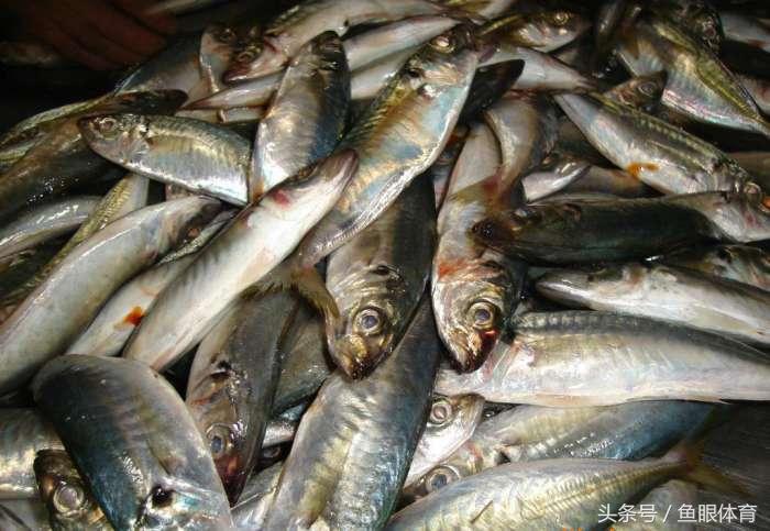 球场不明之物吓人,球场上的那些不可思议