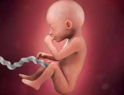 孕期孕育知识,孕期产检解答