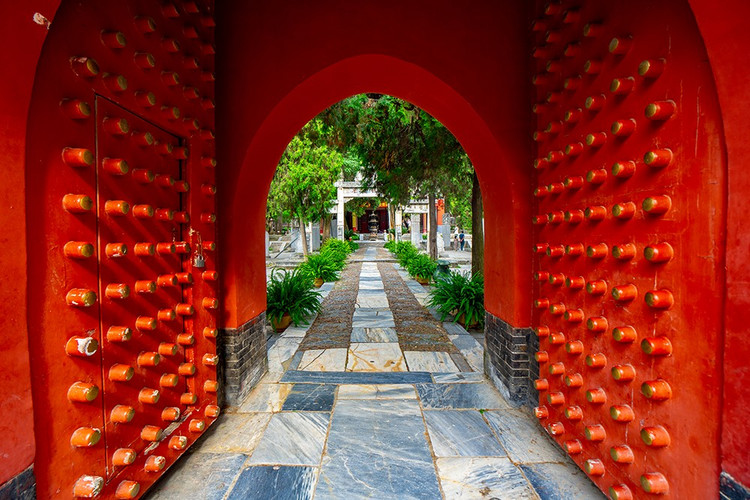 探寻自然与历史的魅力,走进大自然了解历史人文