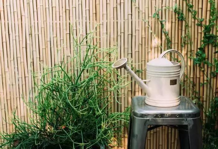 最值得去的十个民宿,这些客栈让你的旅行更有情调