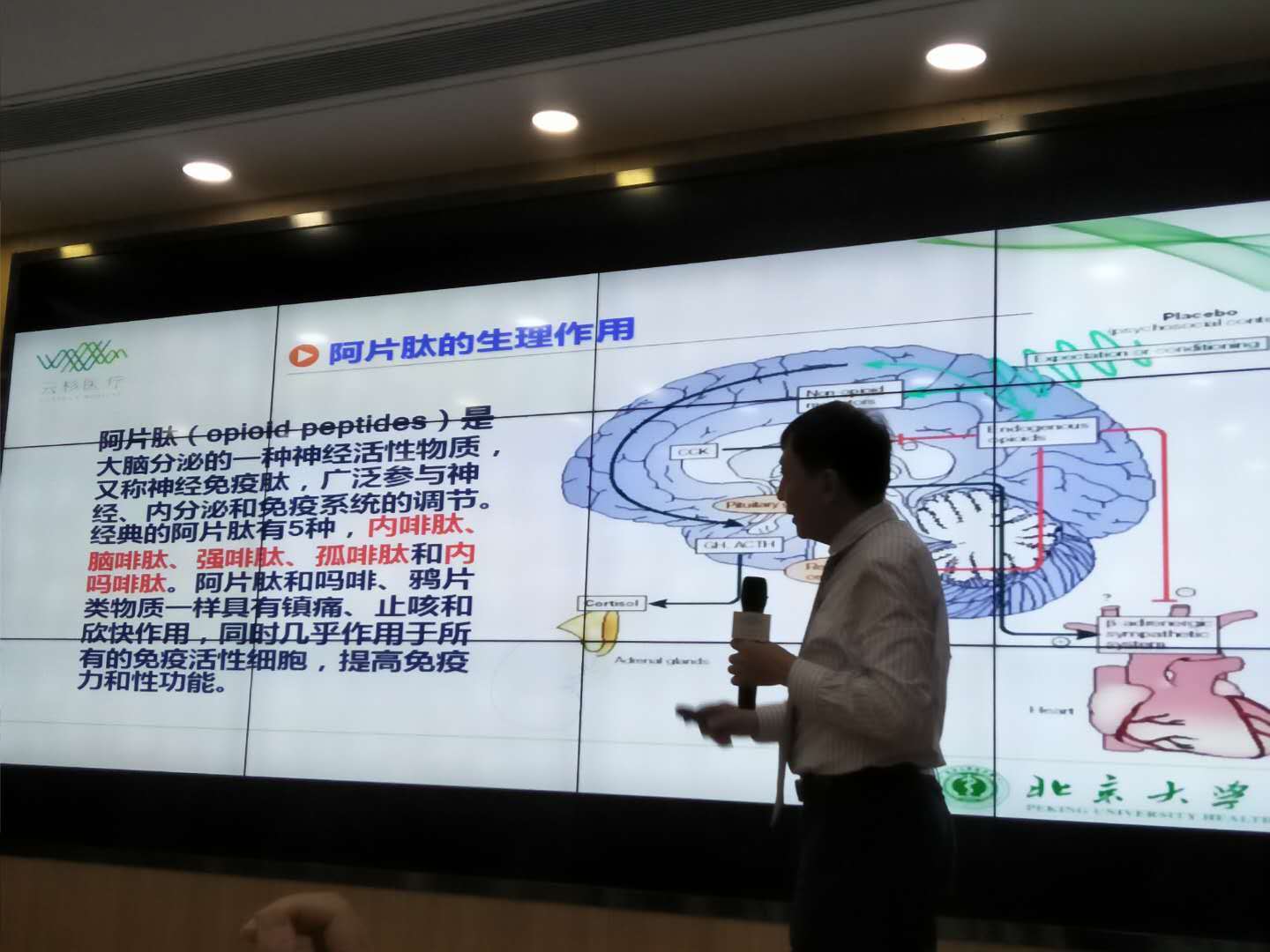 怎么开发0到6个月孩子大脑潜力,怎么才能让孩子的大脑快速成长