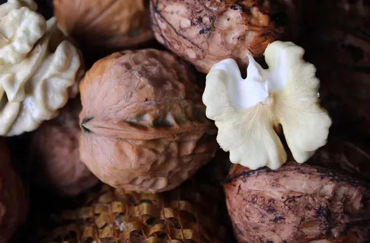 此物号称植物界的唐僧肉！补大脑，益心脏还能缓解失眠！