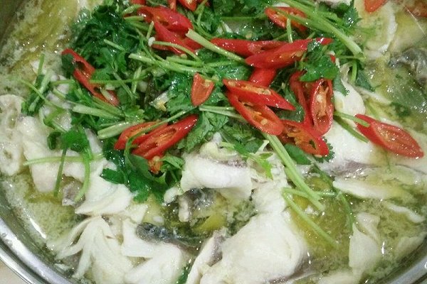 40款鱼的家常做法合集附详细教程,食谱10种草鱼的家常做法