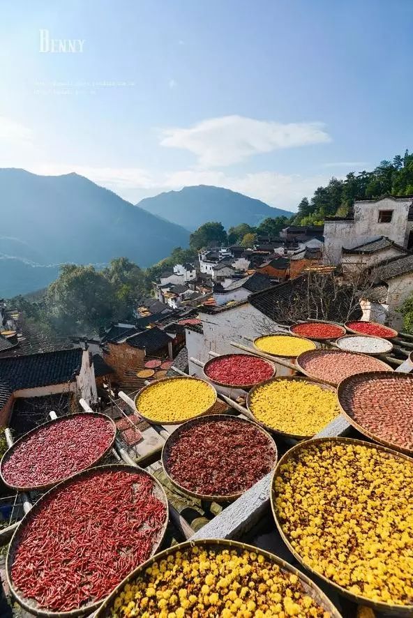 婺源的秋天真美,秋天的婺源什么时候去最美