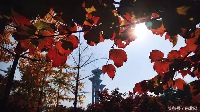 北京秋天一定要看的美景,北京秋天到处都是天堂般的美
