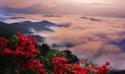 武汉春游一日游攻略,武汉最强春游攻略在此