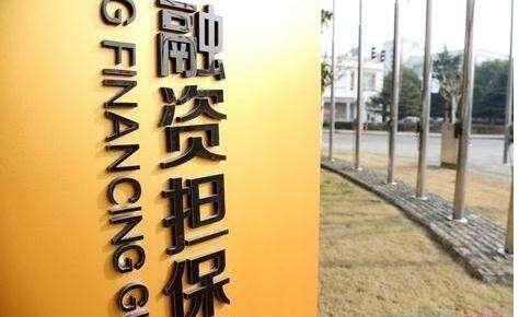 鍚堟硶灏忛璐锋鍏徃鍚嶅崟,閮戝窞灏忚捶鍏徃澶嶅鍚嶅崟