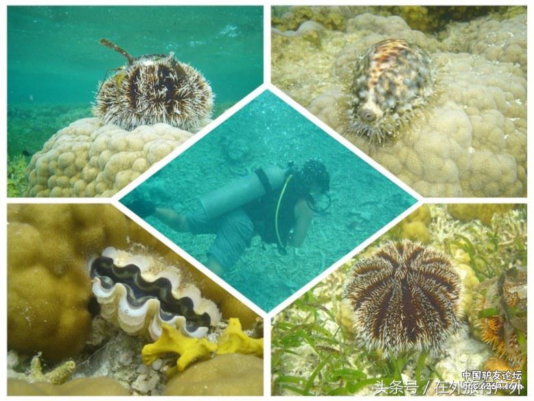 中国的西沙群岛地理全貌,中国西沙群岛历史