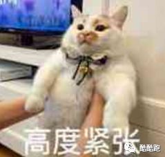 这家游戏公司可以实现你所有的梦想，而我们帮你找到了它