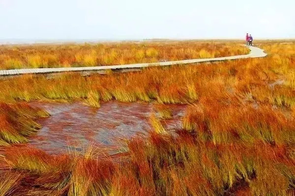 秋天甘南旅游攻略,看甘南草原风光