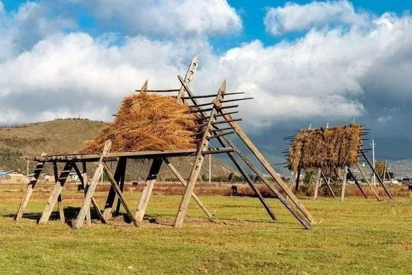 秋天甘南旅游攻略,看甘南草原风光