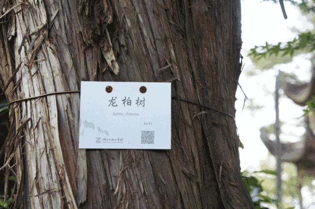 杭州西湖西子宾馆地址,杭州西子宾馆位置图