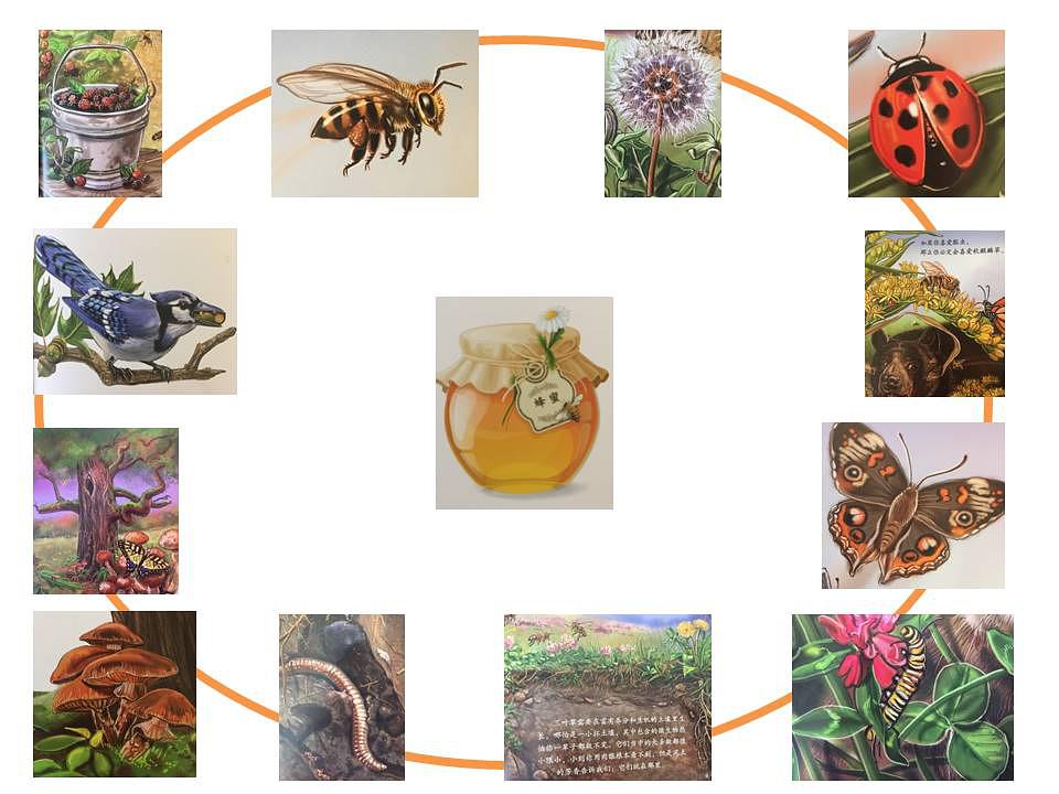 3-6岁必看的十本绘本,一岁三个月幼儿绘本