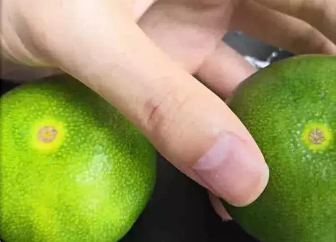 现在正当季的橘子品种有哪些,秋橘子怎么挑