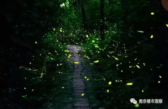 首付20万能买什么样的房子南京,首付20多万南京可以买房子吗