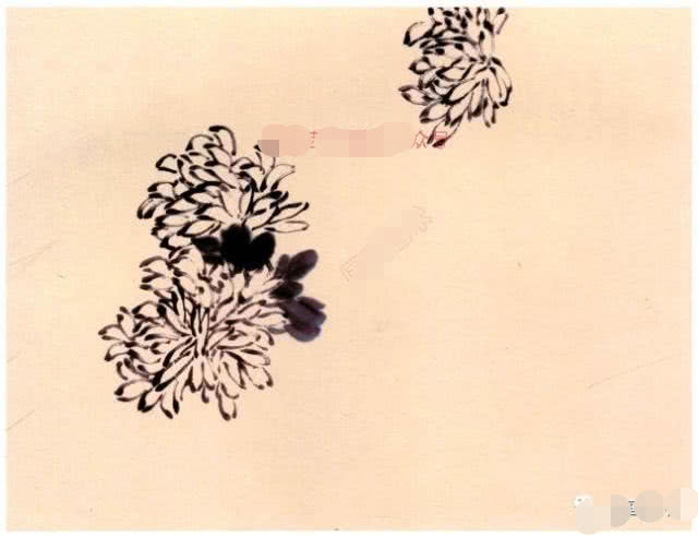 写意菊花画法笔法清晰一看就会,写意菊花的画法步骤图