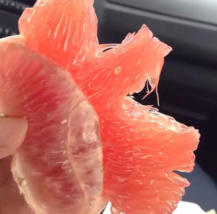 每次来泰国都要吃榴莲,在泰国买什么零食好吃