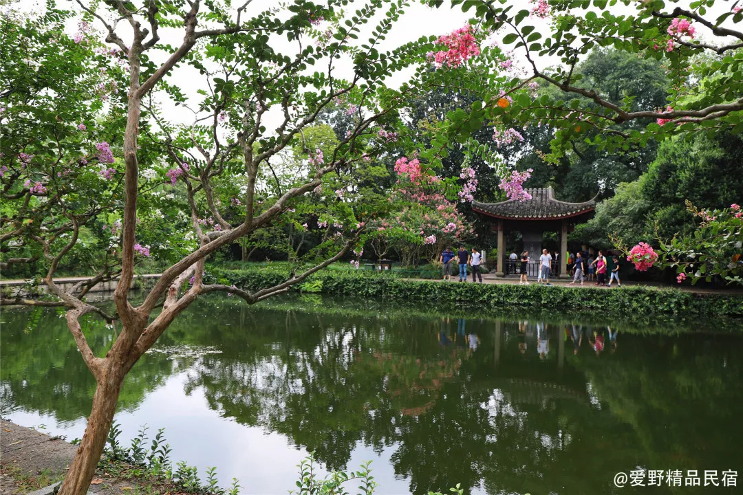 杭州3天2夜｜西子湖畔，脚步丈量这座底蕴深厚的城-爱野精品民宿