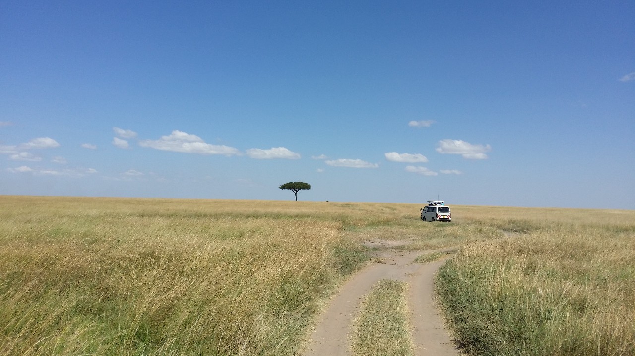 肯尼亚│我没有错过非洲，错过动物大迁徙