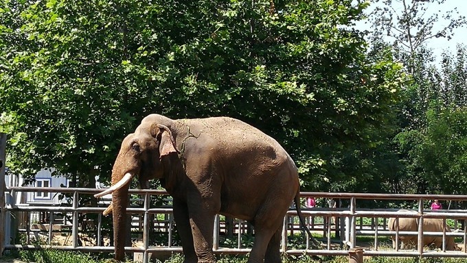 寻秦记旅游,寻秦记自驾旅游