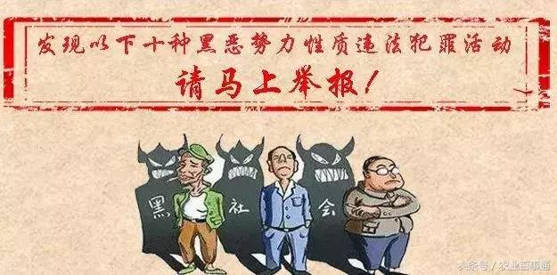 记住这六个电话能帮你大忙,教你对付骗子电话