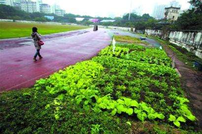 重庆大田湾体育场最新规划,重庆大田湾体育馆有足球场吗