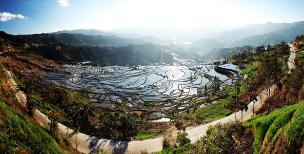 云南乡村振兴示范村建设政策,云南省四好农村路指导意见