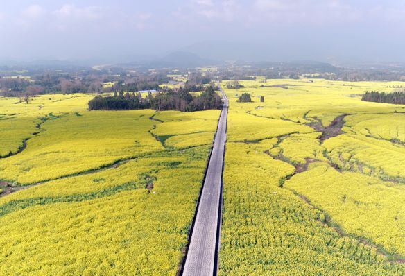 云南乡村振兴示范村建设政策,云南省四好农村路指导意见